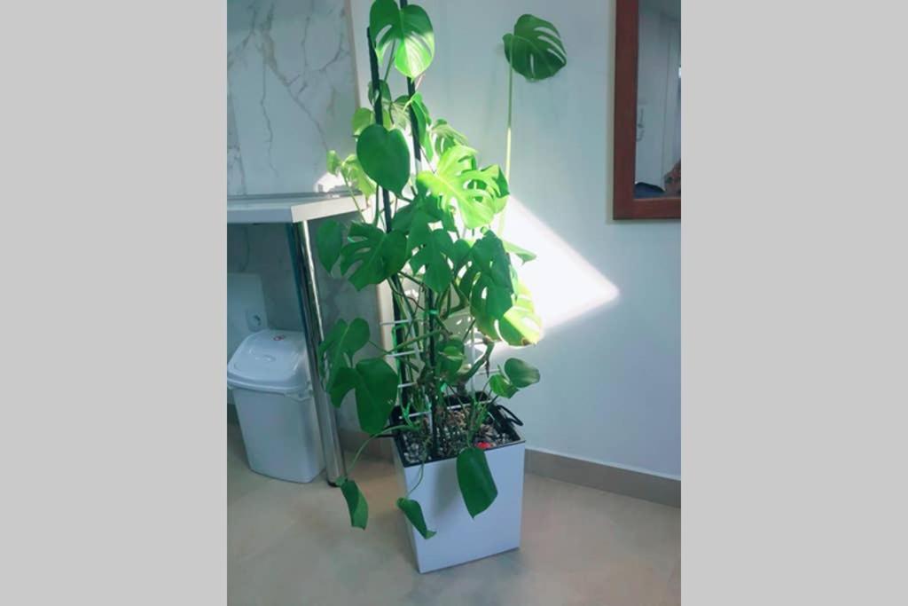 Apartman Santorini 노비사드 외부 사진